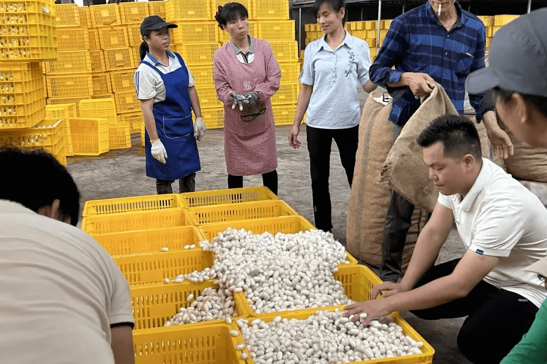&#29615;&#29699;&#40;&#20013;&#22269;&#41;&#20307;&#32946;&#23448;&#26041;&#32593;&#31449;